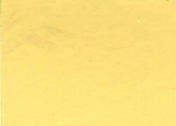1982 Nissan Desert Yellow